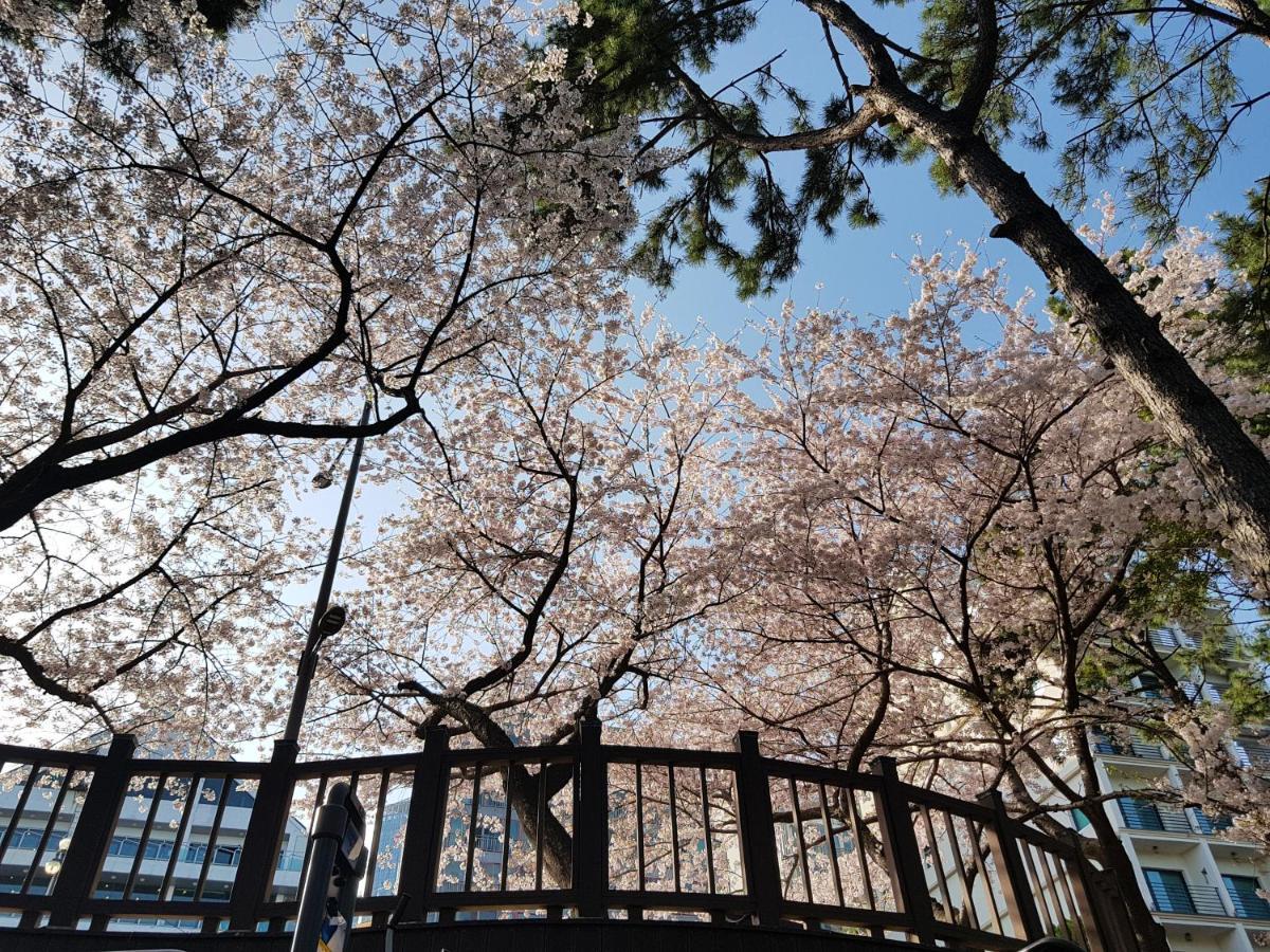 Suntree Hotel Pusan Exteriér fotografie